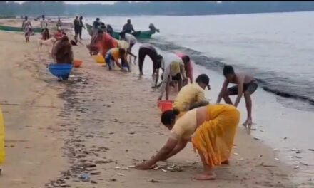 Ankola: A Dance of Waves and a Bounty of Fish